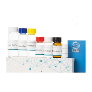 Zebrafish Aβ1-40 Elisa Kit