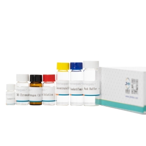 Porcine ACE2 ELISA kit(猪血管紧张素转换酶2 )